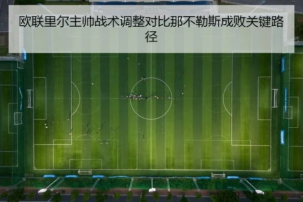 ou-lian-li-er-zhu-shuai-zhan-shu-tiao-zheng-dui-bi-na-bu-le-si-cheng-bai-guan-jian-lu-jing-2-240.jpg