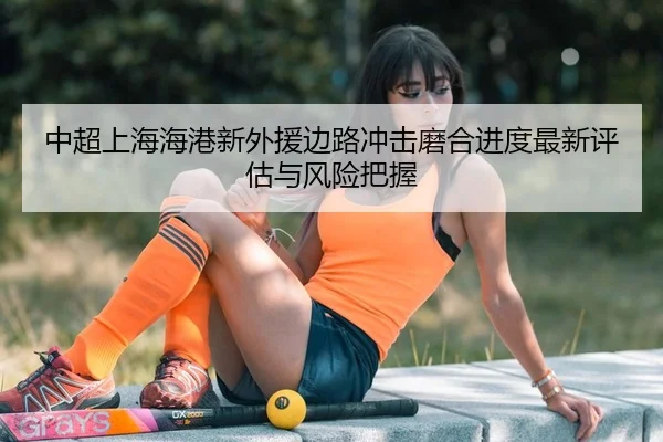 中超上海海港新外援边路冲击磨合进度最新评估与风险把握
